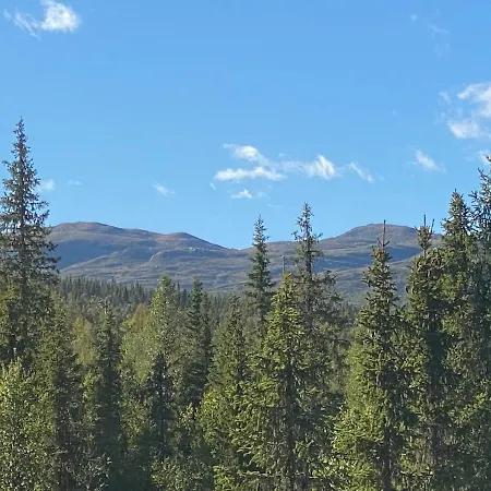 Synnfjell Hytta * Nord Torpa