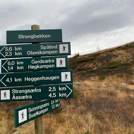Nyaraló Synnfjell Hytta Nord Torpa