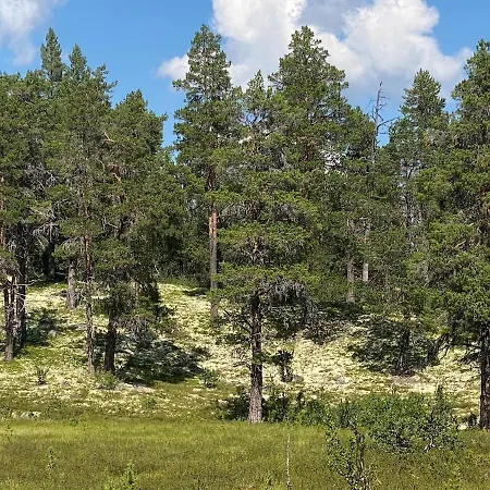 Nyaraló Synnfjell Hytta Nord Torpa