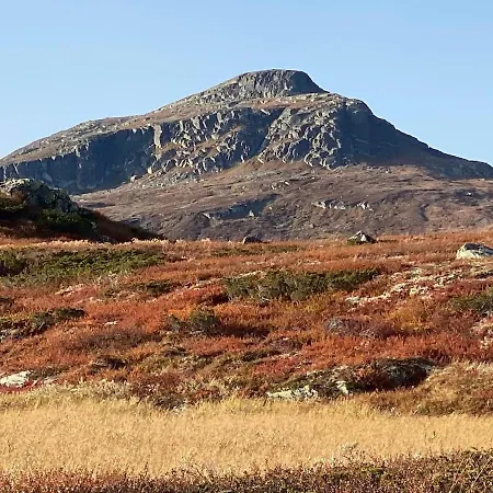 Synnfjell Hytta * Nord Torpa