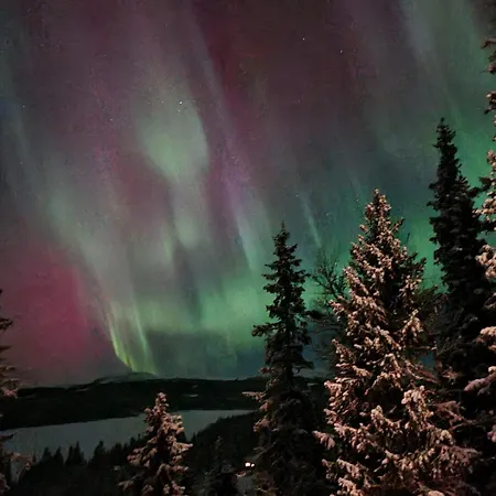 Nyaraló Synnfjell Hytta Nord Torpa