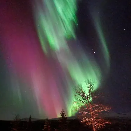 Synnfjell Hytta * Nord Torpa