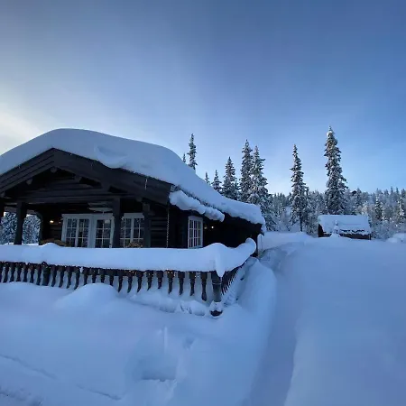 Nyaraló Synnfjell Hytta Nord Torpa