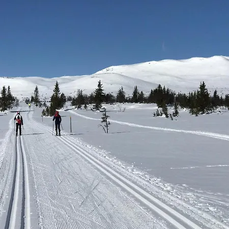 Synnfjell Hytta Nord Torpa
