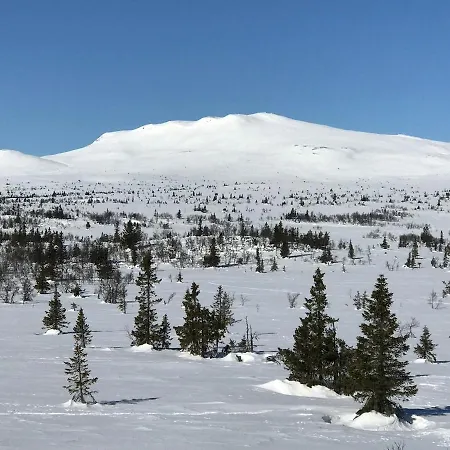 Synnfjell Hytta Nord Torpa