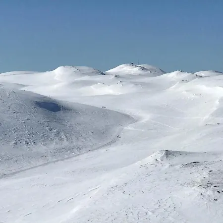 Synnfjell Hytta Nord Torpa